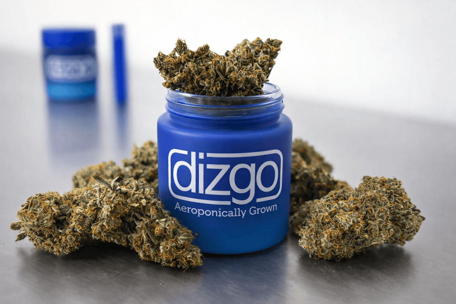 Dizgo jar with buds