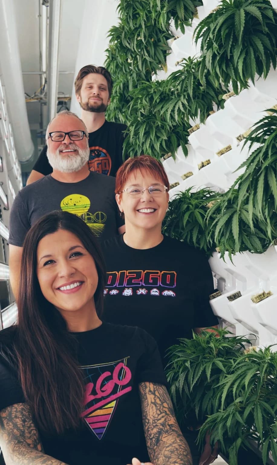 Dizgo Collective team